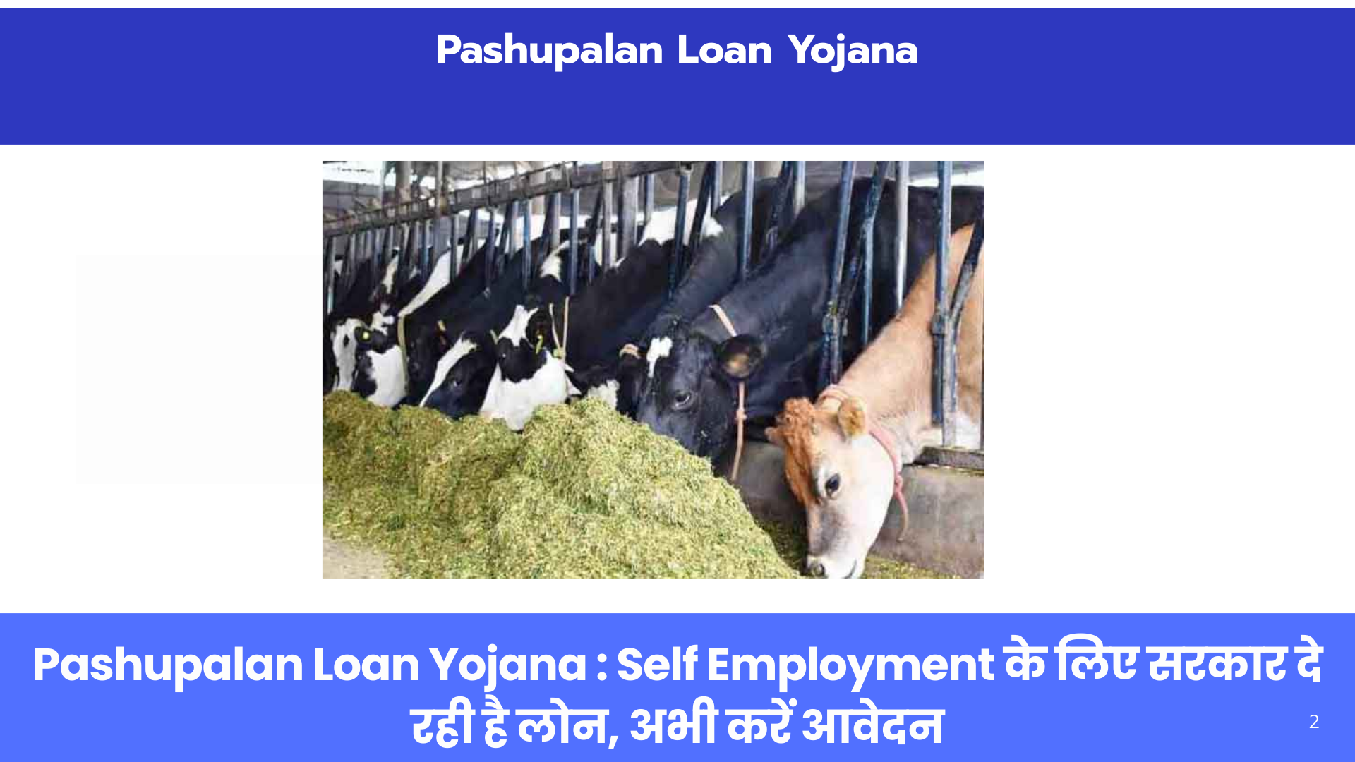 Pashupalan Loan Yojana 2025 Apply Online: ब्याज दर, पात्रता, सब्सिडी और दस्तावेज़ पूरी जानकारी