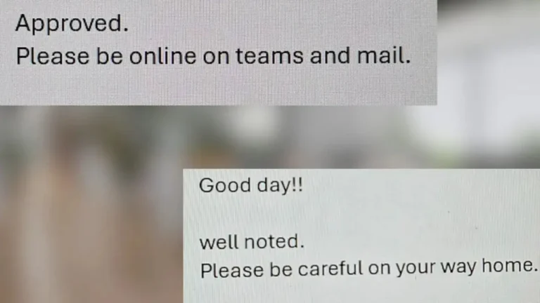 Employee Shares Screenshot of Leave Request Replies From Indian & Japanese Bosses