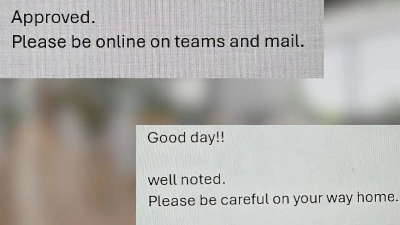 Employee Shares Screenshot of Leave Request Replies From Indian & Japanese Bosses