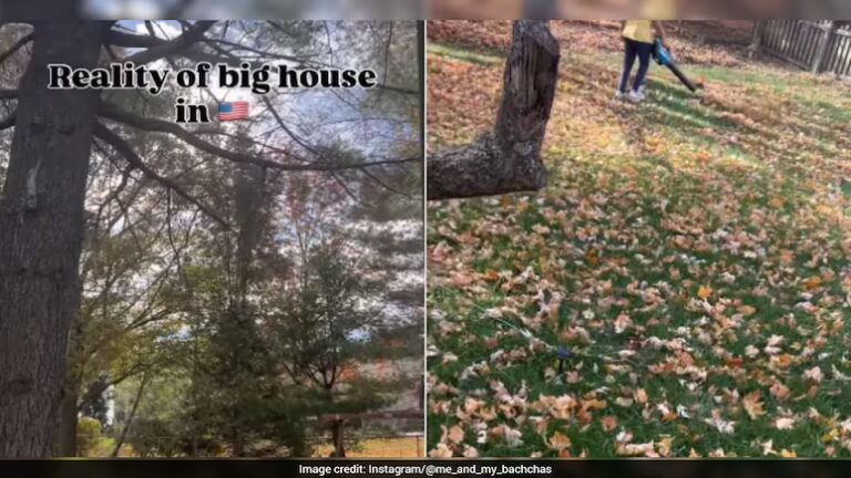 Reality Of Big Houses In The US: Indian Woman’s Honest Video Sparks Debate