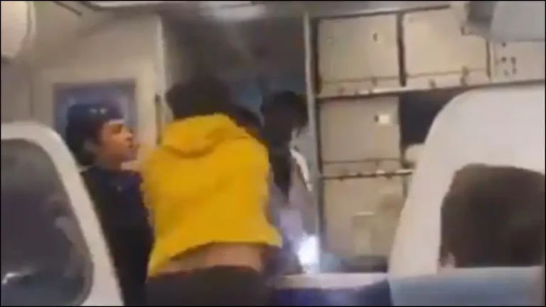 WATCH | Passenger Attacks IndiGo Pilot After Flight