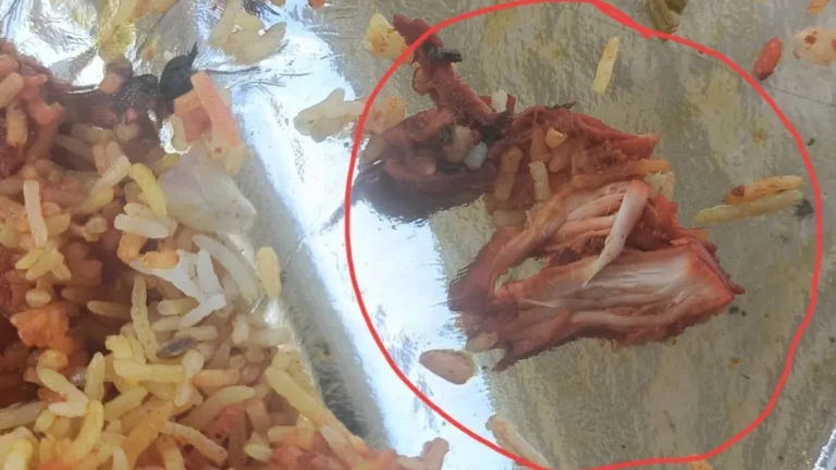 Zomato Responds After Customer Complains Of Receiving Chicken Biryani Instead Of Paneer Biryani