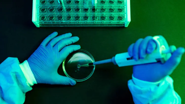 Scientists Cure Pancreatic Cancer in Mice Without Major Side Effects