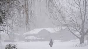 Columbus on Alert: Full List of Closures Amid Winter Storm Fern