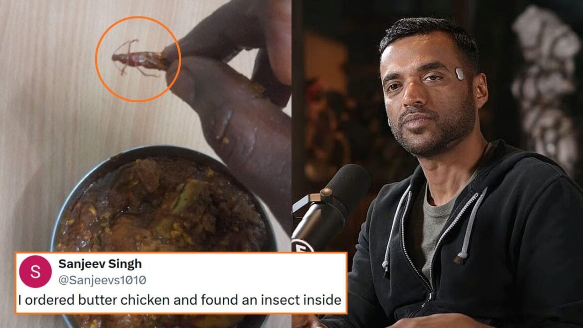 Zomato Responds After Customer Complains About Finding An Insect In The Food She Ordered