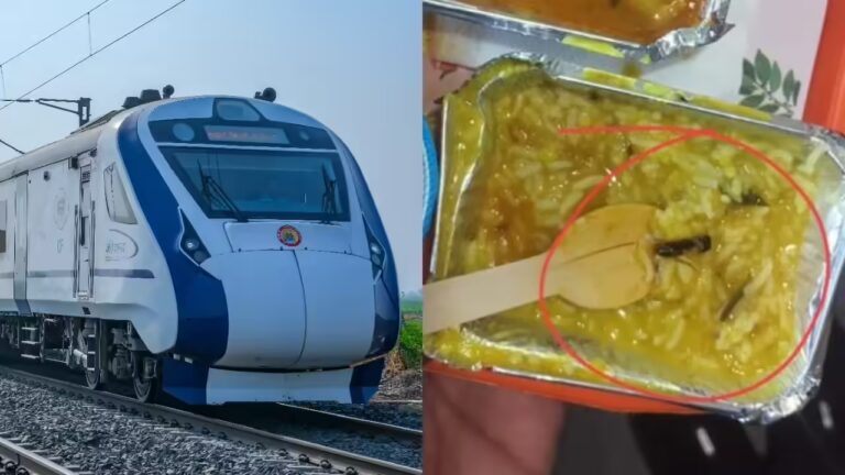 IRCTC Responds After Passenger Complains About Finding An Insect In Food On Vande Bharat Train